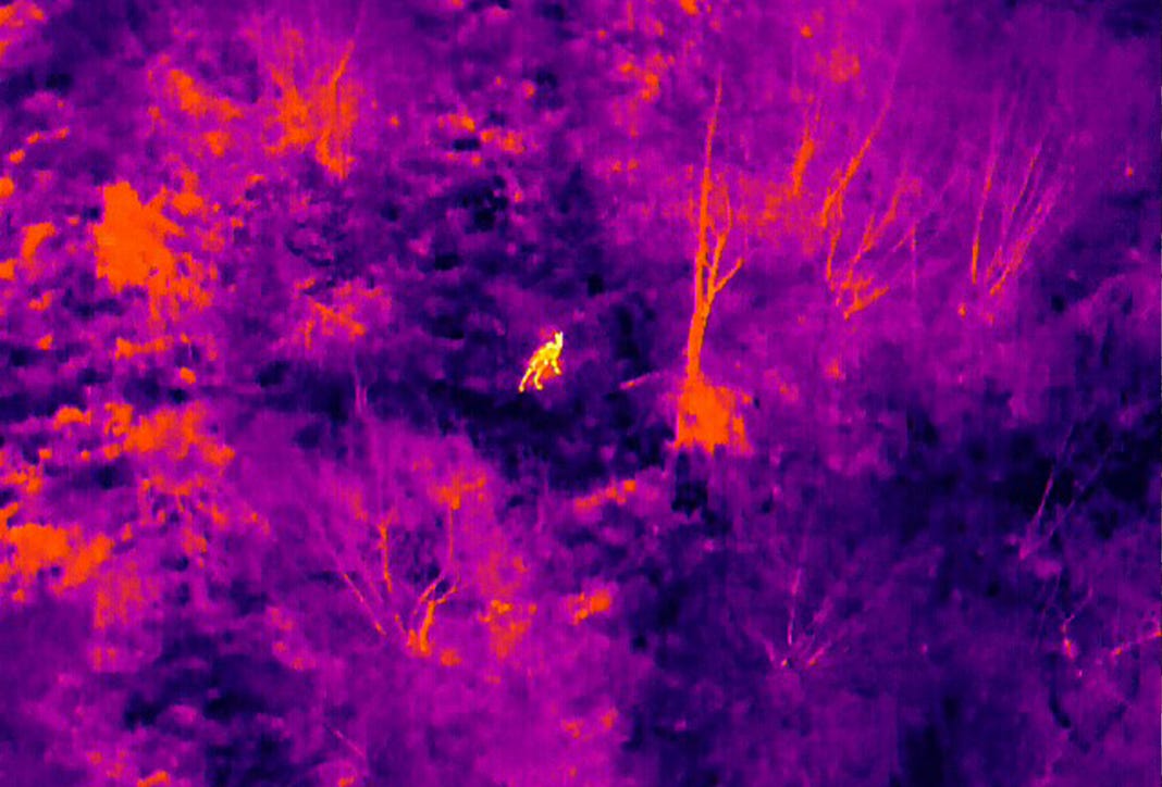 <img src="drone-ricerca-dispersi.jpg" alt="Drone per ricerca persone e ricerca animali con termocamera"> 